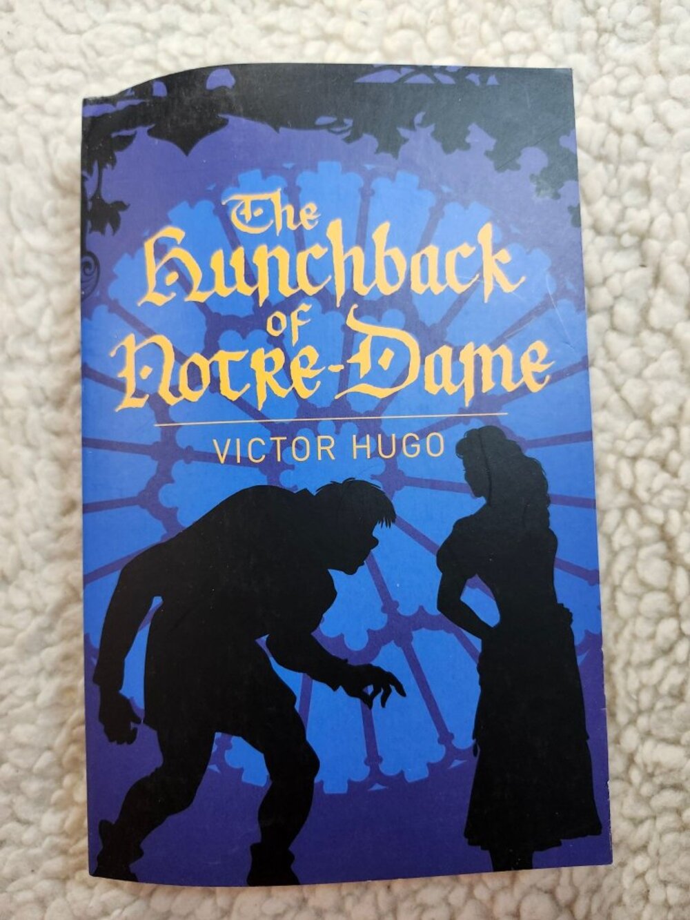 Victor Hugo The Hunchback of Notre-Dame Paperback Arcturus 2020 Edition Classic
